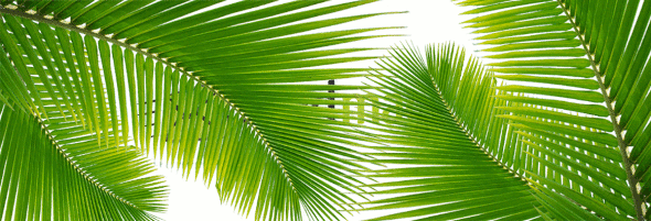 7 motive pentru care este bine să folosești GIF-uri în campaniile de email marketing