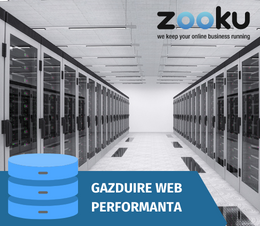 Gazduire Website Performanta