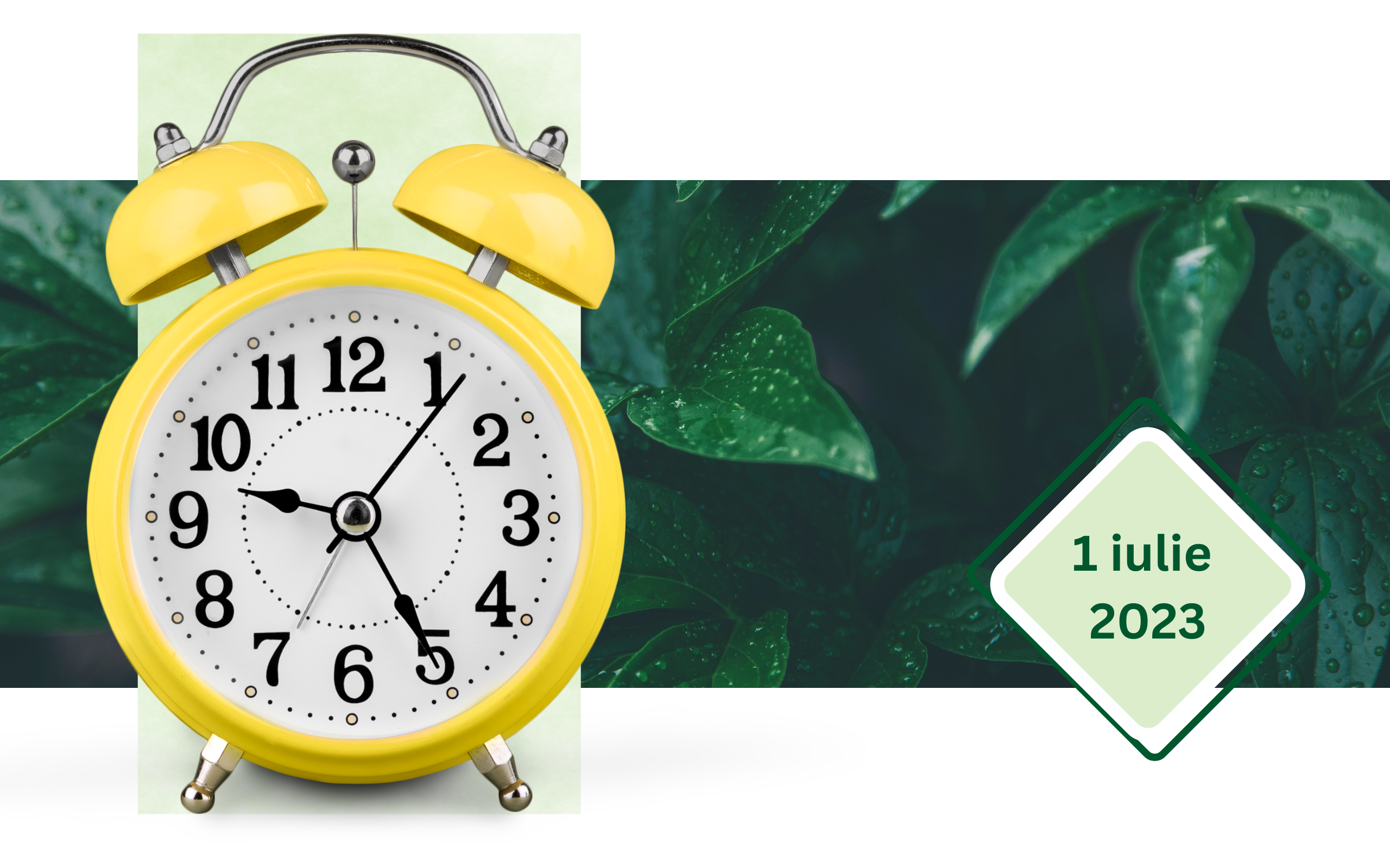 Noutăți Sendmachine